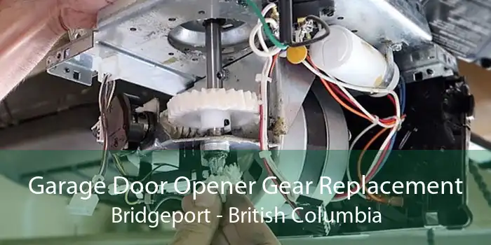 Garage Door Opener Gear Replacement Bridgeport - British Columbia