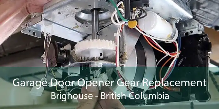 Garage Door Opener Gear Replacement Brighouse - British Columbia