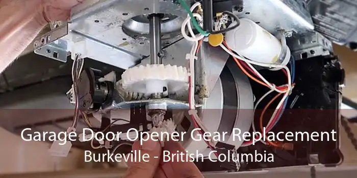 Garage Door Opener Gear Replacement Burkeville - British Columbia
