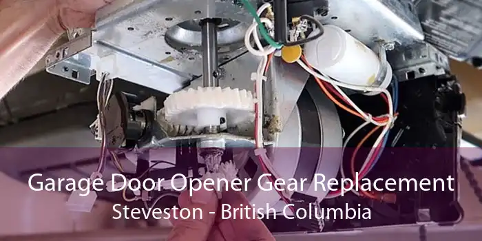 Garage Door Opener Gear Replacement Steveston - British Columbia