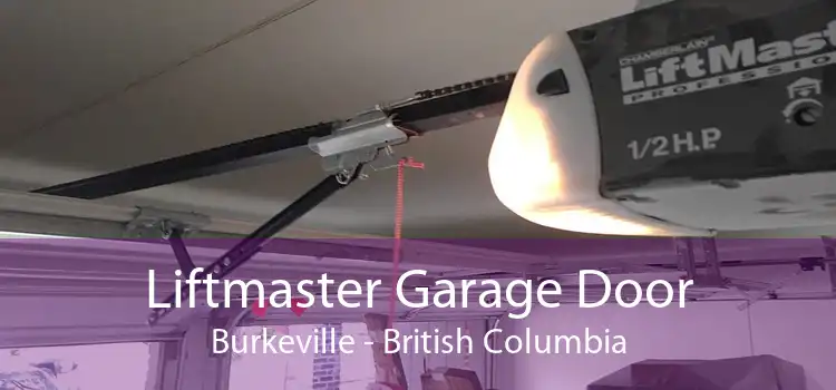 Liftmaster Garage Door Burkeville - British Columbia