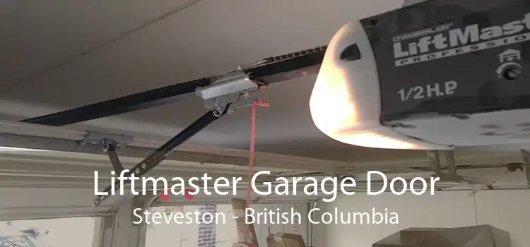 Liftmaster Garage Door Steveston - British Columbia